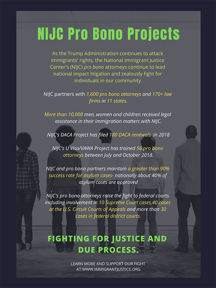 Infographic with statistics about NIJC's pro bono projects